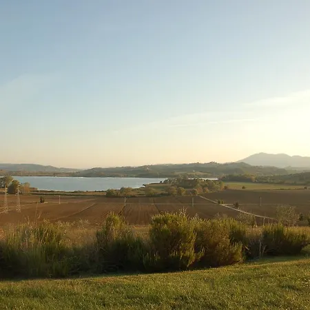 Poggio Antico Binami