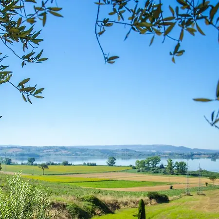 Poggio Antico * Binami